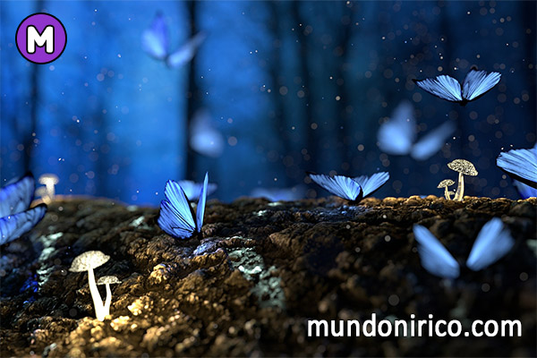 Significado y definición: ¿Qué es el mundo onírico?